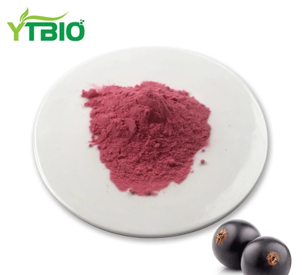 Blackcurrant Extract Powder